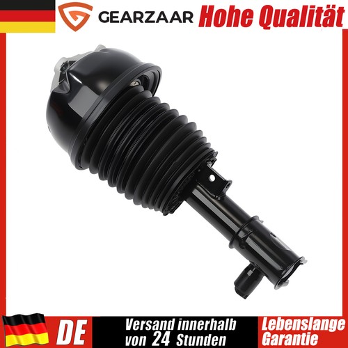 Federbein luftfederung vorne - federbein,