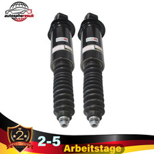 1Paar Hinten Stoßdämpfer